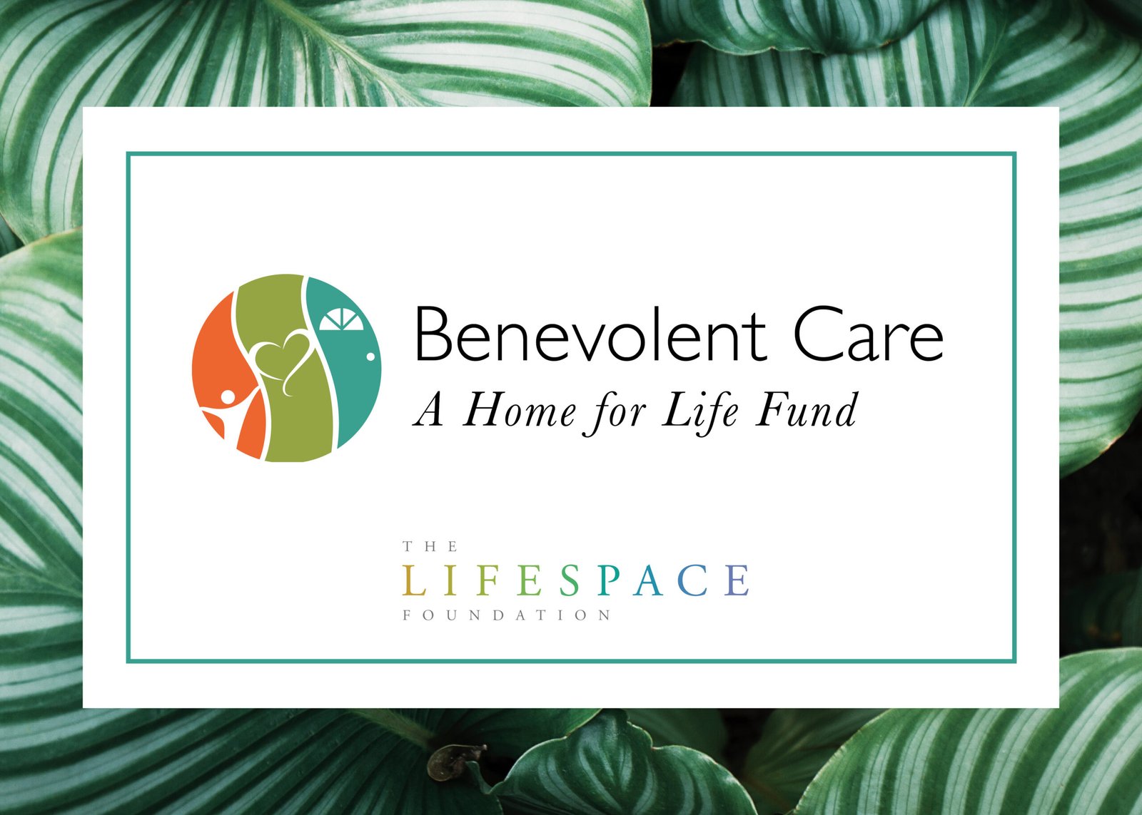 Lifespace Appeal Donor Card 2019