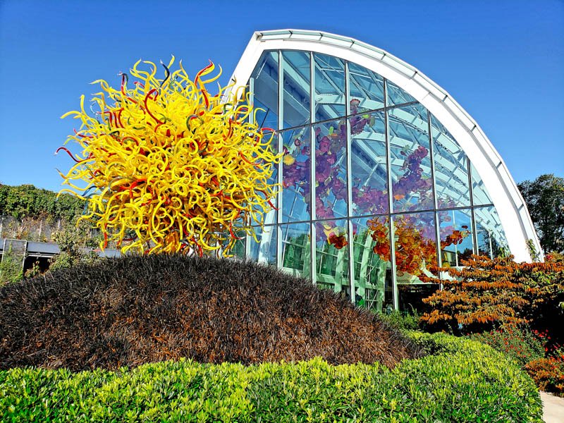 Chihuly 02